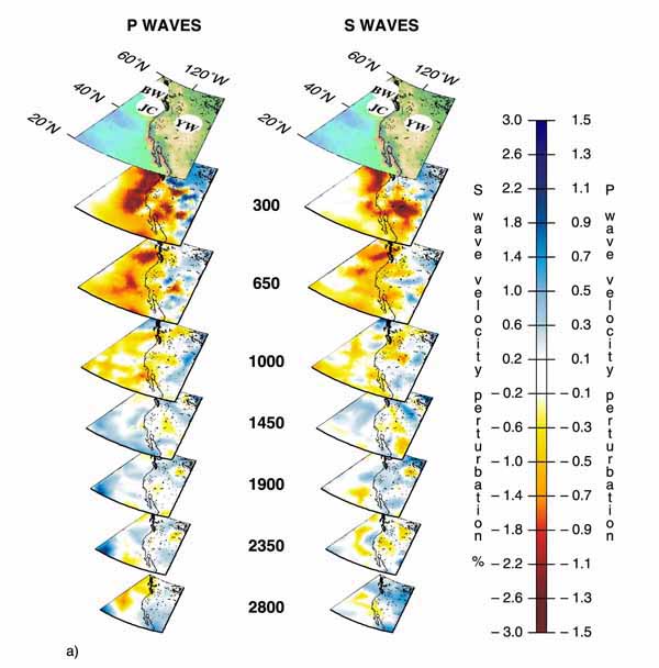 �����. 11. (�) ���������� ��� ������ ��� ����������� (YW).